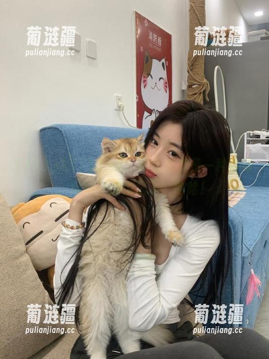 153.sk，用起来真是一种享受，地址都懒得记了，哈哈！