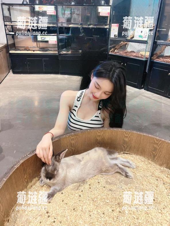有了最新的吃瓜网，娱乐圈也不过是个大型偶像剧，大家准备好了吗？
