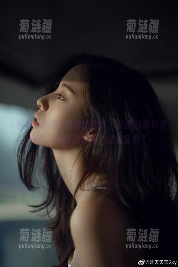 有谁能猜到，最新的黑料其实是“网曝黑料网”里的玄机？
